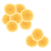 微生物　酵母