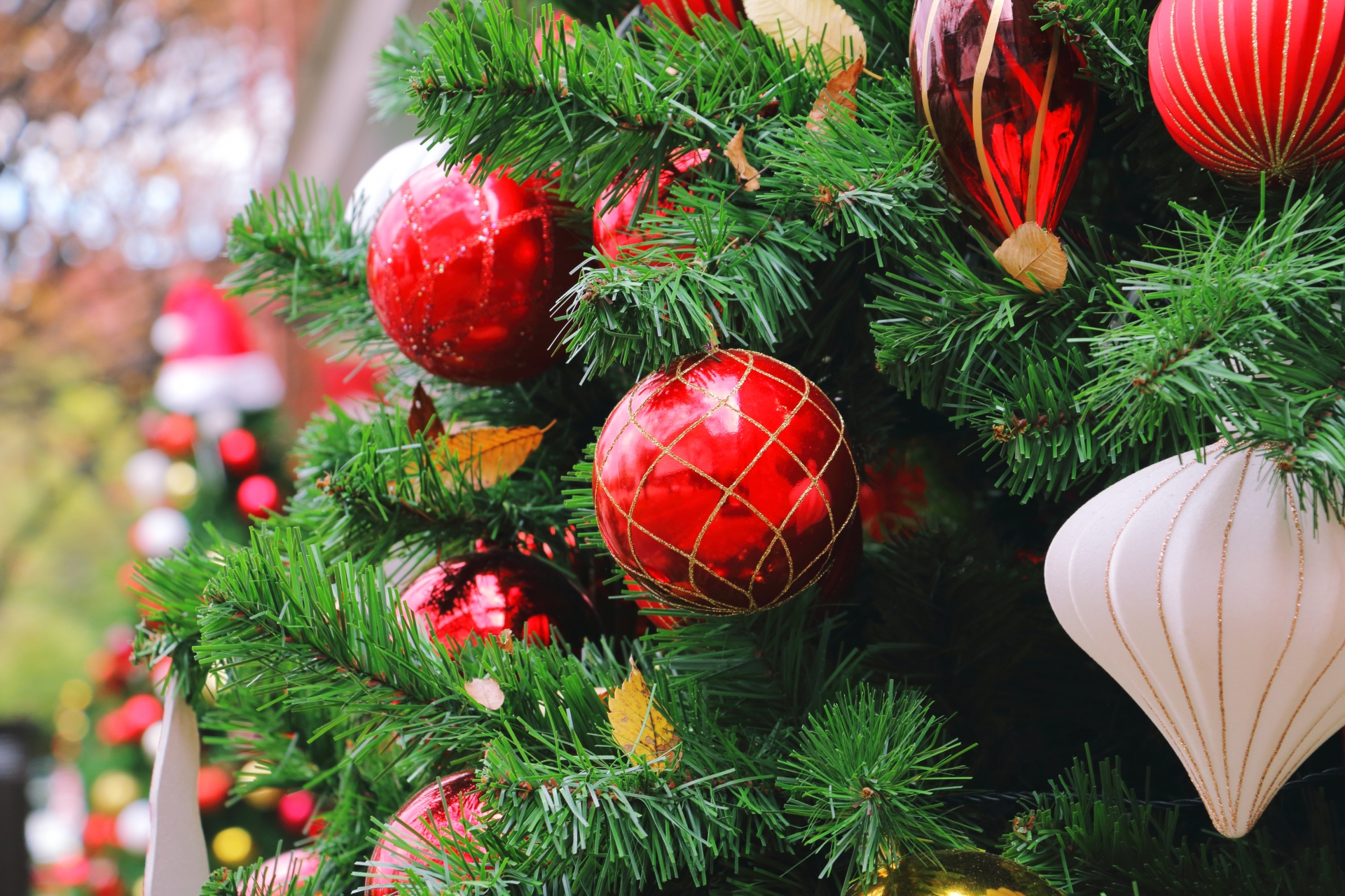 クリスマスパーティー 